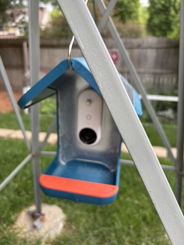 Birdbuddy pro alimentatore - pro,