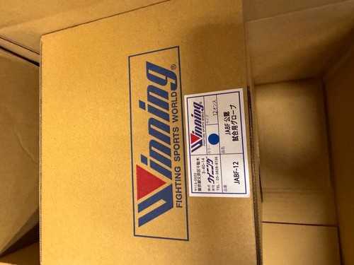 Guantoni boxe vincenti 12 - vincenti,
