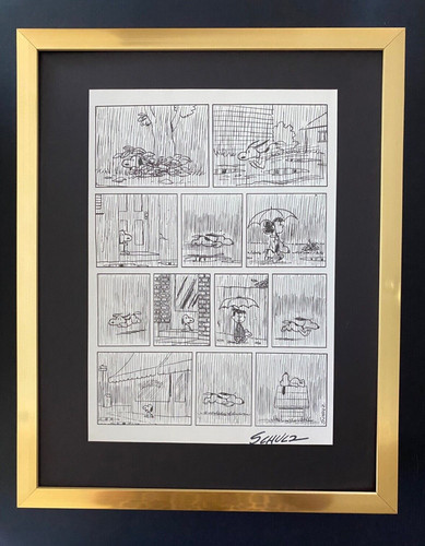 Charles schulz cartone - schulz, +