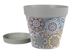 VASO PIANTE GRASSE FIORI SEMI