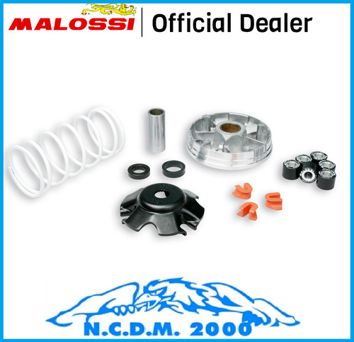 Variatore malossi multivar - variatore,