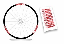 kit adesivi cerchi bici dt swiss 26-27,8-28-29 stickers 12pezzi