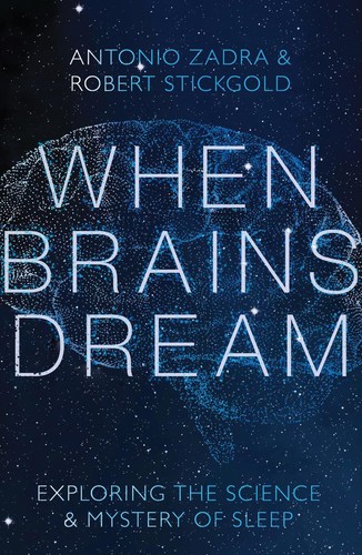 When brains dream - when, exploring