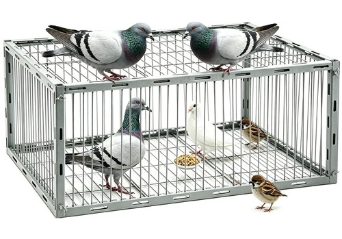 Trappola per uccelli