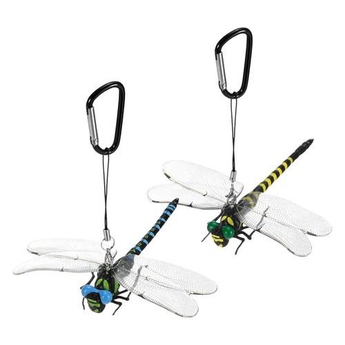 Clip libellula - pz, libellula,