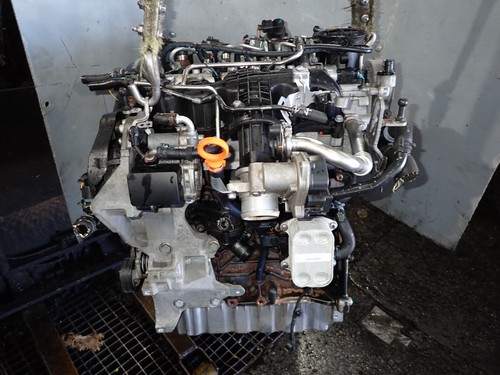 Motore audi skoda - motore, 1,6tdi