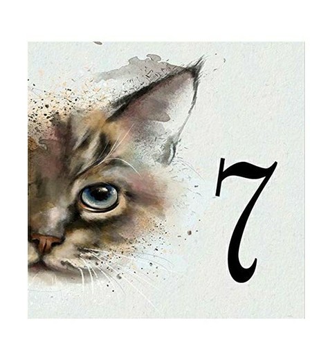 Numero civico personalizzabile - numero,