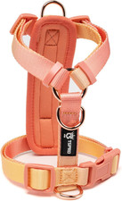 Pettorina Cane Taglia Media