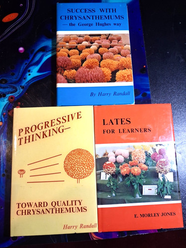 Rare chrysanthemums books - 3, x