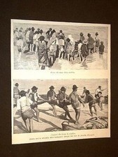 Pesca con la sciabica nell'Adriatico Pescatori e Pesci