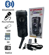 Cassa Amplificata USB SD