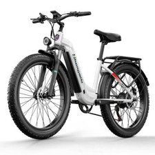 Bicicletta elettrica 26