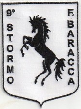 PATCH RICAMO TOPPA NONO STORMO