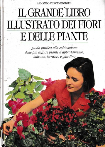 Grande libro illustrato - libro,