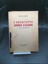 L'architetto Andrea d'Albino e