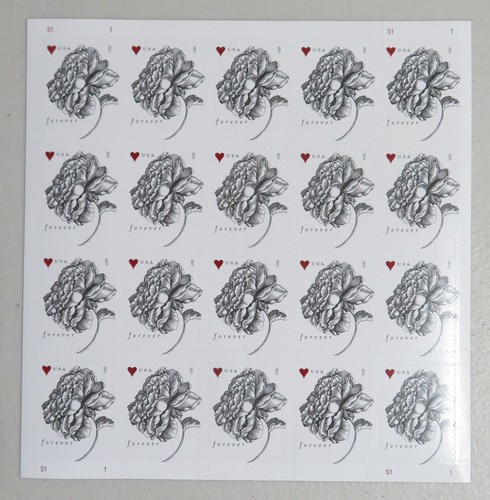 Vintage rose foglio 20 - rose,