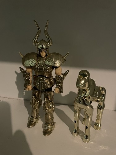 Capricorno cavalieri dello - capricorno,