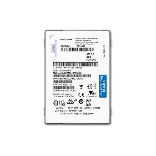 Ibm enterprise 300 ssd - gb, sas