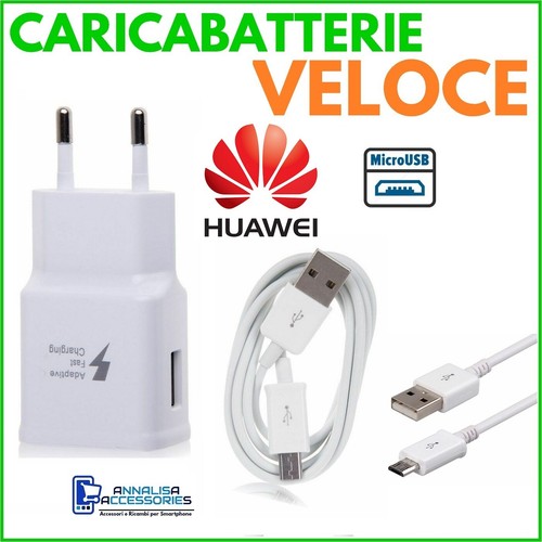 Caricabatterie veloce fast - caricabatterie,