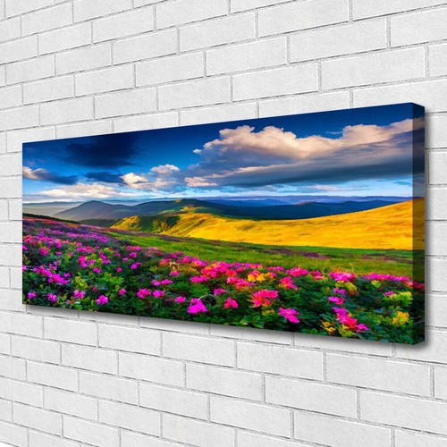 125x50 stampa tela - stampa, su