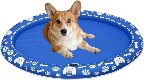 Piscina gonfiabile per cani - piscina,