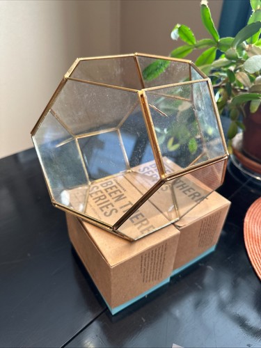 Terrario geometrico vetro