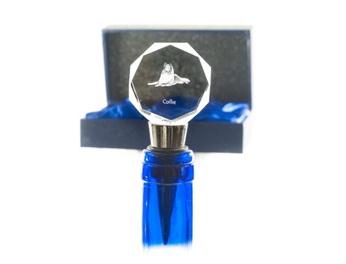 Collie pelo lungo pastore - a,