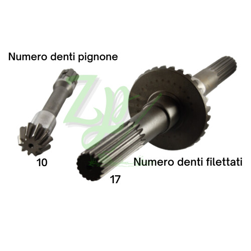 Coppia conica inferiore - coppia,