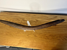 Large Vintage Australian Mulga