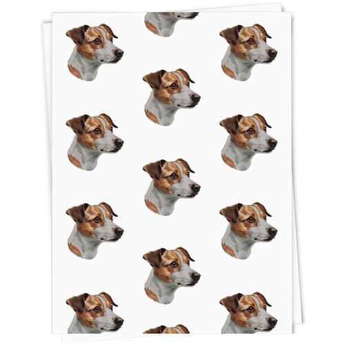 Jack russel terrier vista - 'jack,