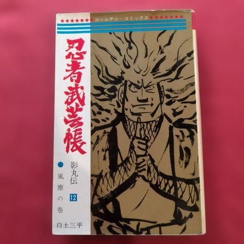 Libro arti marziali ninja - libro,