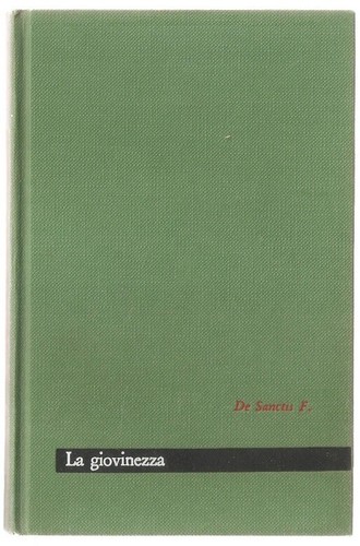Libro giovinezza francesco - la,