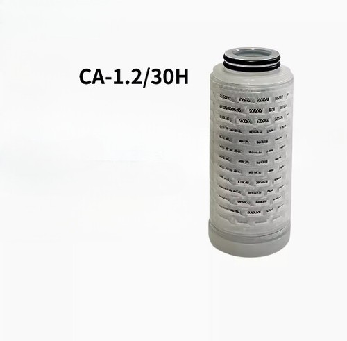 1pz new fit - 1pz,
