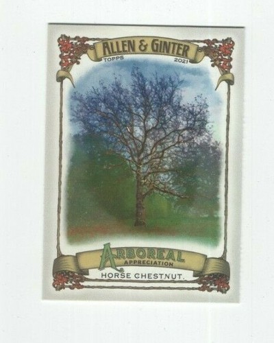 2021 topps allen - allen, &