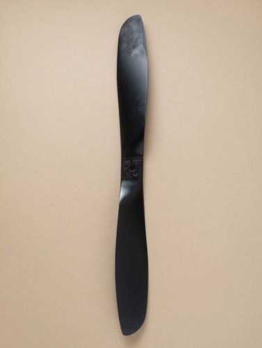 Paramotore ppg elica - ppg, in