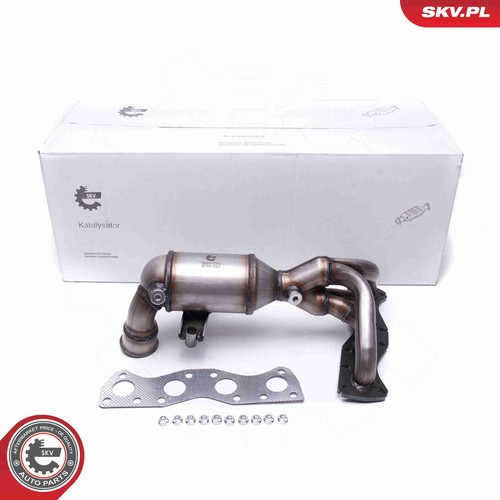 Catalizzatore esen skv - catalizzatore,