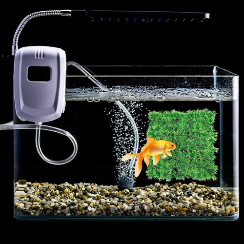 Decorazione acquario tappeto