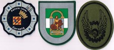 Scegli 1 patch polizia
