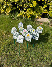 Set 5 x Insegne Giardino Erbe