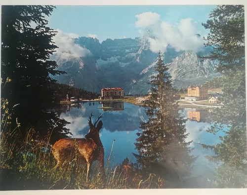 Stampa fotografica anni - stampa,