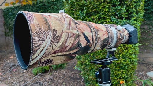 Canon 400mm l is - rf,