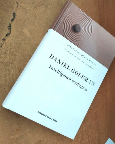 Biblioteca della mente vol 6 - vol,