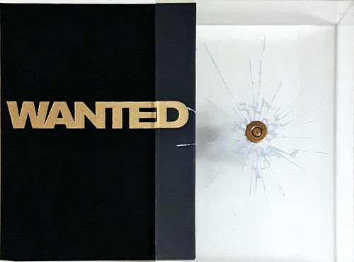 Wanted dvd limited edition - wanted,