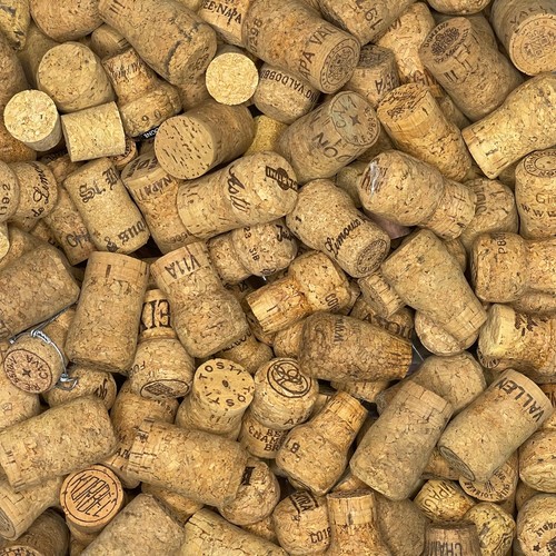 Tappi bottiglia champagne - 25,