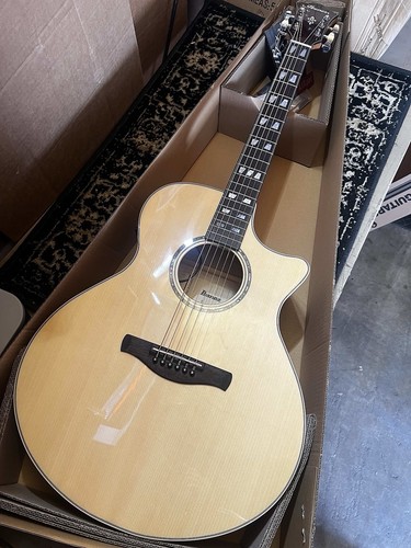 Ibanez ae170 ntr performer - ae170-ntr,