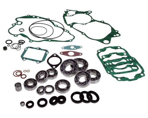 Kit riparazione cuscinetti