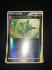 Carta Pokémon Erba Vita Holo
