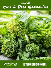 500 Semi di Cime di Rapa