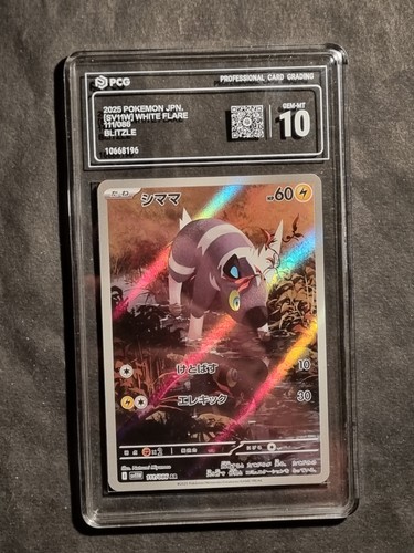Pokemon blitzle sv11w - -,