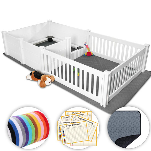Box cucciolo zucca per - , cani